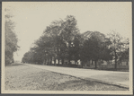 View of eastern end of Main Street. Looking east. Amagansett, East Hampton
