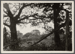 Rear view of Dominy house. West side North Main Street. East Hampton, East Hampton