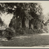 John Howard Payne house. East side Main Street. East Hampton, East Hampton