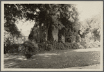John Howard Payne house. East side Main Street. East Hampton, East Hampton