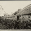 John Howard Payne house and windmill. East side Main Street. East Hampton, East Hampton