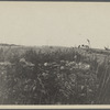 Remains of cellar foundation of First House. Montauk, East Hampton