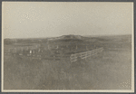 View of old cemetery. About 200ft west of site of First House, north of roadway, 3 miles west of Hither Plain Life Saving Station, 7  mi. east of Amagansett. 13 headstones, 9 with footstones, 1763-1821. Montauk, East Hampton