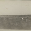 View of old cemetery. About 200ft west of site of First House, north of roadway, 3 miles west of Hither Plain Life Saving Station, 7  mi. east of Amagansett. 13 headstones, 9 with footstones, 1763-1821. Montauk, East Hampton