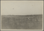 View of old cemetery. About 200ft west of site of First House, north of roadway, 3 miles west of Hither Plain Life Saving Station, 7  mi. east of Amagansett. 13 headstones, 9 with footstones, 1763-1821. Montauk, East Hampton