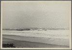 View of the surf at Hither Plain. Montauk, East Hampton