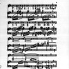 Music and musicians