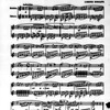 Music and musicians