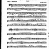 Music and musicians