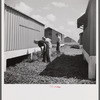 Camp members cutting the grass, cleaning up and making needed repairs during their work time. They pay one dollar a week for their shelters and must put in two hours additional work time at camp jobs. Osceola migratory labor camp, Belle Glade, Florida