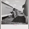 Camp members cutting the grass, cleaning up and making needed repairs during their work time. They pay one dollar a week for their shelters and must put in two hours additional work time at camp jobs. Osceola migratory labor camp, Belle Glade, Florida