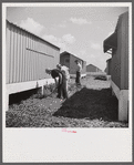 Camp members cutting the grass, cleaning up and making needed repairs during their work time. They pay one dollar a week for their shelters and must put in two hours additional work time at camp jobs. Osceola migratory labor camp, Belle Glade, Florida