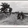 Cultivators and teams leaving central barn at one o'clock to complete their field work during the afternoon. Terrebonne Project, Schriever, Louisiana