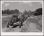 Tractors going to cultivate the sugarcane fields at one o'clock. Terrebonne Project, Schriever, Louisiana