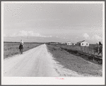 Homes and cornfields on Terrebonne Project, Schriever, Louisiana