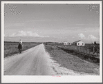 Homes and cornfields on Terrebonne Project, Schriever, Louisiana