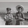Cajun children on Terrebonne Project, Schriever, Louisiana