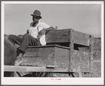 The waterboy, who takes water in his cart to the men working in the fields all day. Terrebonne Project, Schriever, Louisiana