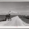 The waterboy, who takes the water in his cart to the men working in the fields all day. Terrebonne Project, Schriever, Louisiana