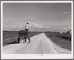 The waterboy, who takes the water in his cart to the men working in the fields all day. Terrebonne Project, Schriever, Louisiana