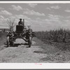 Tractors going to cultivate the sugarcane fields at one o'clock. Terrebonne Project, Schriever, Louisiana