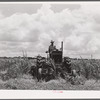 One of the tractors cultivating sugarcane. Terrebonne Project, Schriever, Louisiana