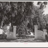 Gate and grounds of old plantation house near Schriever, Louisiana