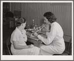 The project nurse takes a member's blood pressure during the prenatal clinic. Terrebonne Project, Schriever, Louisiana