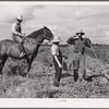 The waterboy brings one of the cooperative members a drink while he chops grass out of sugarcane field. The foreman, chosen by group from among own members, is on horse supervising work. Terrebonne Project, Schriever, Louisiana