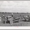 Terrebonne Project, Schriever, Louisiana