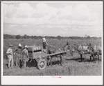 Terrebonne Project, Schriever, Louisiana