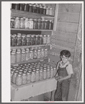 Allen Plantation, operated by Natchitoches farmstead association, a cooperative established through the cooperation of FSA (Farm Security Administration). Louisiana