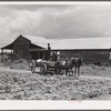 Bayou Bourbeaux Plantation operated by Bayou Bourbeaux farmstead association, a cooperative established through the cooperation of the FSA (Farm Security Administration)