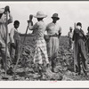 Bayou Bourbeaux Plantation operated by Bayou Bourbeaux farmstead association, a cooperative established through the cooperation of the FSA (Farm Security Administration)