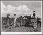 Terrebonne Project. Schriever, Louisiana