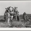 Day labor now is used almost exclusively on Hopson Plantation, displacing the old tenants on the place. Cotton choppers are hired in nearby towns for seventy-five cents to one dollar a day and trucked to the plantation. Clarksdale, Mississippi Delta, Miss