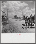 After the noon hour in the plantation yard, the mules, tractors and cultivators are taken out to finish the day's work. King and Anderson Plantation, near Clarksdale. Mississippi Delta, Mississippi.