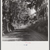 Natchez, Mississippi.