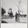 Extremely tall and excellent corn is also grown on the King and Anderson cotton plantation near Clarksdale. Mississippi Delta, Mississippi.