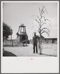 Extremely tall and excellent corn is also grown on the King and Anderson cotton plantation near Clarksdale. Mississippi Delta, Mississippi.