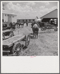 After the noon hour in the plantation yard, the mules, tractors and cultivators are taken out to finish the day's work. King and Anderson plantation, near Clarksdale. Mississippi Delta, Mississippi.