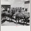 After the noon hour in the plantation yard, the mules, tractors and cultivators are taken out to finish the day's work. King and Anderson plantation, near Clarksdale. Mississippi Delta, Mississippi.