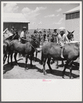 After the noon hour in the plantation yard, the mules, tractors and cultivators are taken out to finish the day's work. King and Anderson plantation, near Clarksdale. Mississippi Delta, Mississippi.