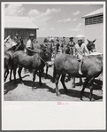 After the noon hour in the plantation yard, the mules, tractors and cultivators are taken out to finish the day's work. King and Anderson plantation, near Clarksdale. Mississippi Delta, Mississippi.