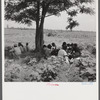 Day labor is used almost exclusively on Hopson plantation, displacing the old tenants on the place. Cotton choppers are hired in nearby towns for 75 cents to one dollar a day and trucked to the plantation. Clarksdale, Mississippi Delta, Mississippi.