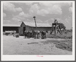 Knowlton Plantation. Perthshire, Mississippi Delta, Mississippi.