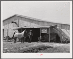 Stables at the Shelby County horse show and fair. Shelbyville, Kentucky.