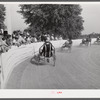 Sulky of harness races. Horse show, Shelby County fair, Shelbyville, Kentucky.