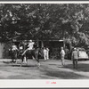 Entries in the best horsemanship class going into the ring at the Shelby County horse show and fair. Shelbyville, Kentucky.