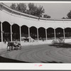 Winner coming out of the ring at the horse show. Shelby County fair, Shelbyville, Kentucky.